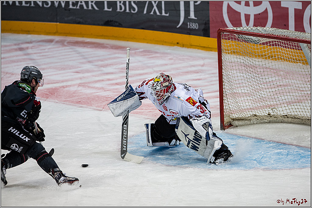 Koelner Haie - Pinguins Bremerhaven, 25.10.2016